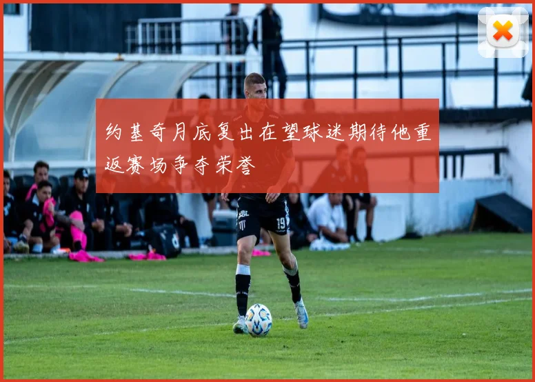 约基奇月底复出在望球迷期待他重返赛场争夺荣誉